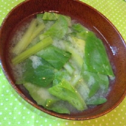 junさん、こんにちは♪
小松菜のお味噌汁を作るのは初めてです。
クセがなくて食べやすいですね～
小松菜のイメージが変わりましたよ！
ごちそうさまでした♪